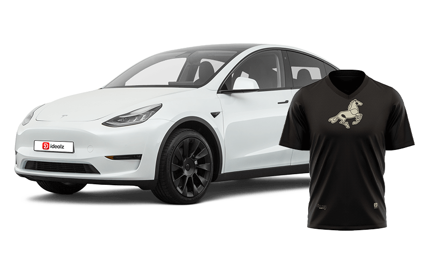 2022 Tesla Model Y combined